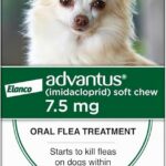 Dog Flea & Tick Topical Treatment 5–22 lb