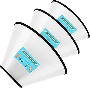 Elizabethan Collar Assortment