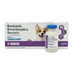 Canine Bordetella Vaccine