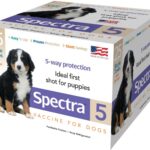 Canine 5-Way Vaccine