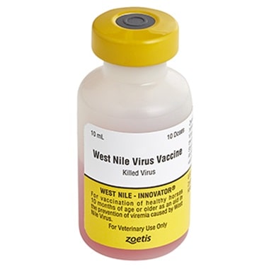 Equine West Nile Vaccine